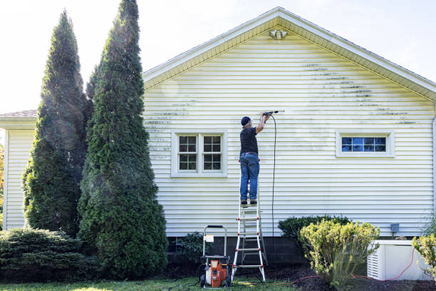 Best Solar Panel Cleaning  in Madison, WI